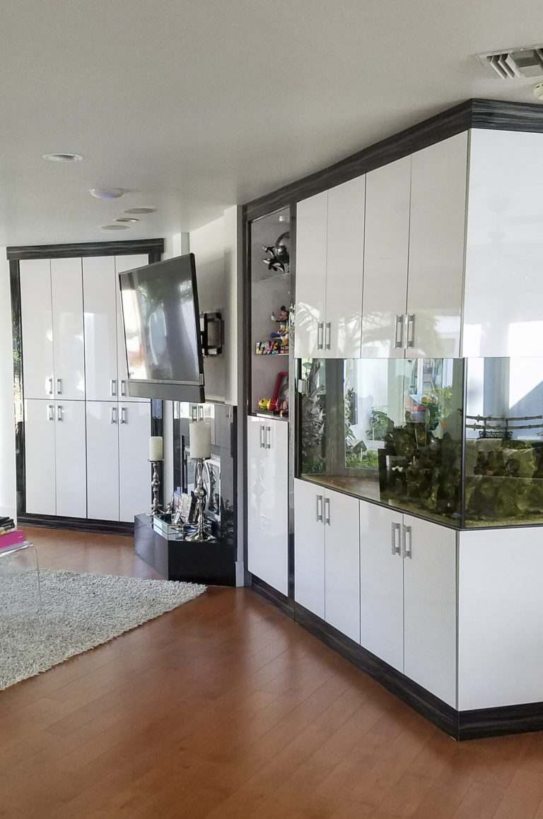 custom living room cabinetry wit fish tank enclosure and media console